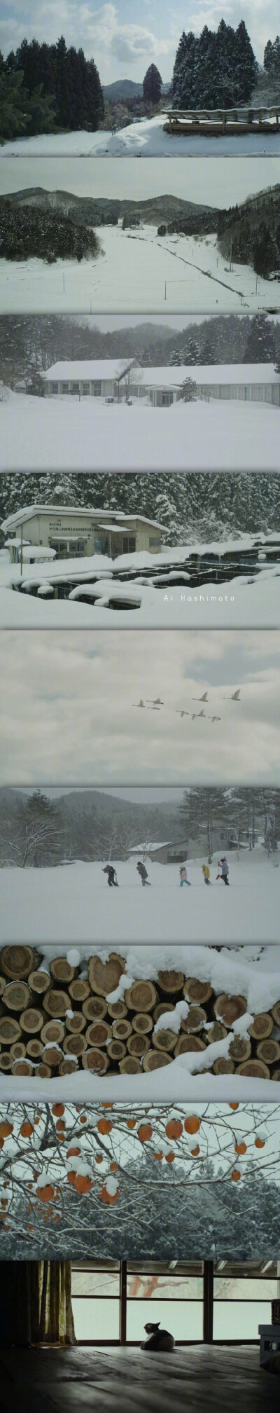 小森林里的春夏秋冬