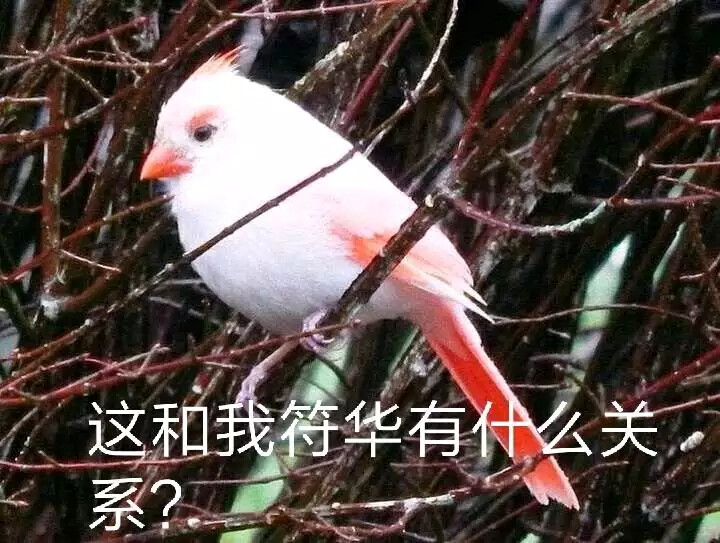 崩坏三