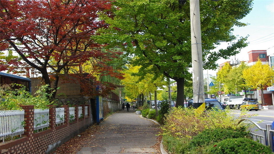 橙光背景