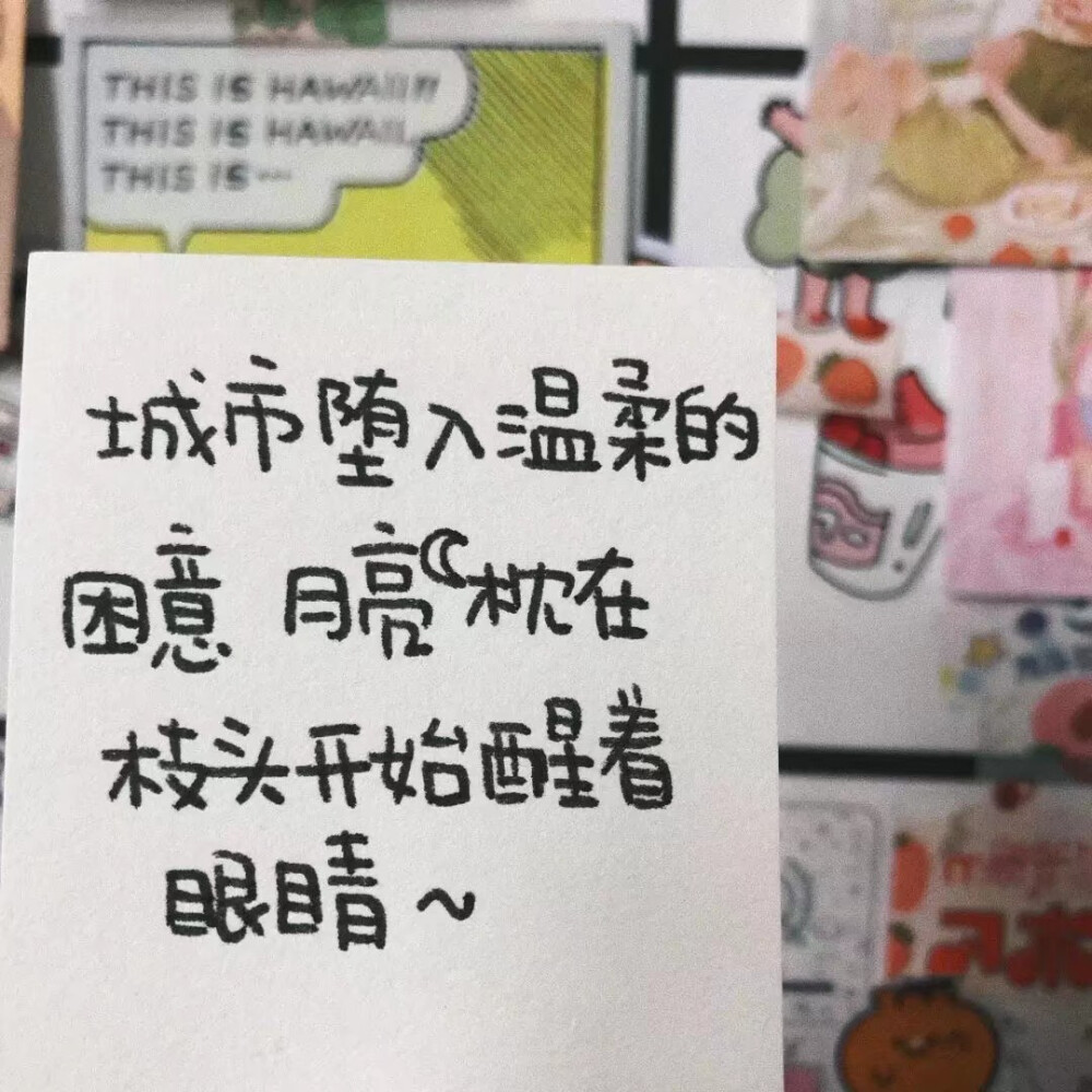 我是个笨蛋 才会一直对你有所期待