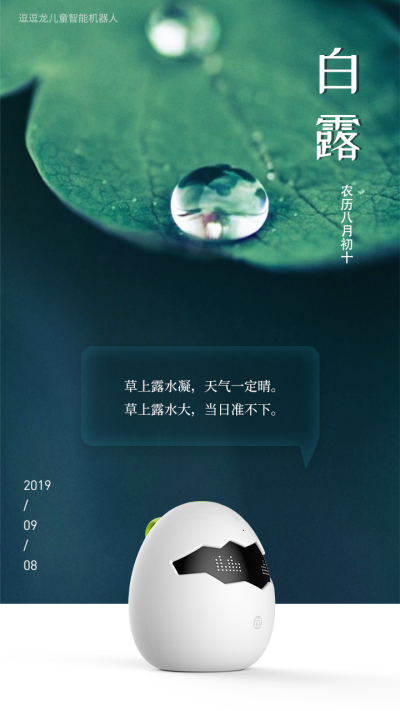 逗逗龙儿童机器人