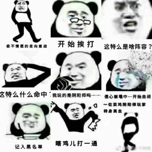 默认专辑