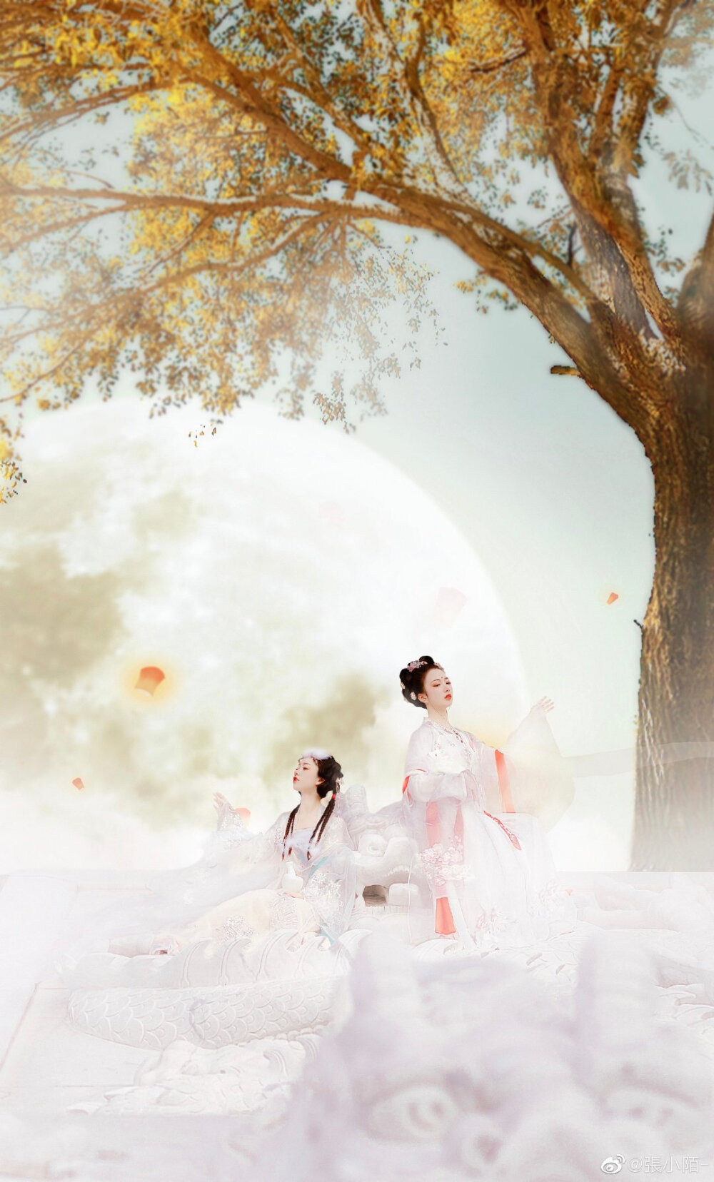  【广寒宫】
玉宇琼楼闭早秋，金蟾银兔啼寒夜。
夜寒露下步瑶台，罗袜仙裙冉冉来。
摄影：@張mo_
出镜： 嫦娥：@卿卿草
玉兔：@十月花崎
妆造：@嵩希希
服装：@美人夜来工作室 @抚绸衣庄
同行：@彭彭pong_
