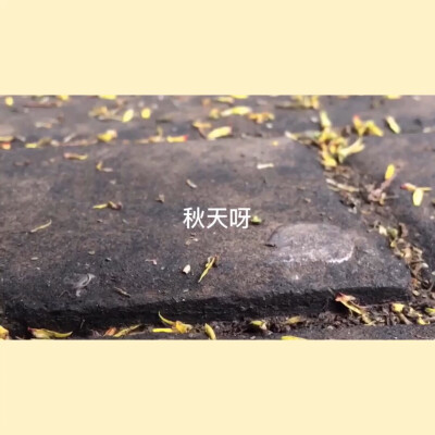 秋天呀