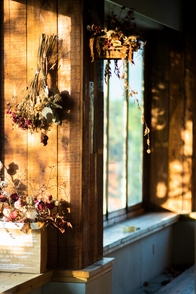 如何度过一天，就如何度过一生