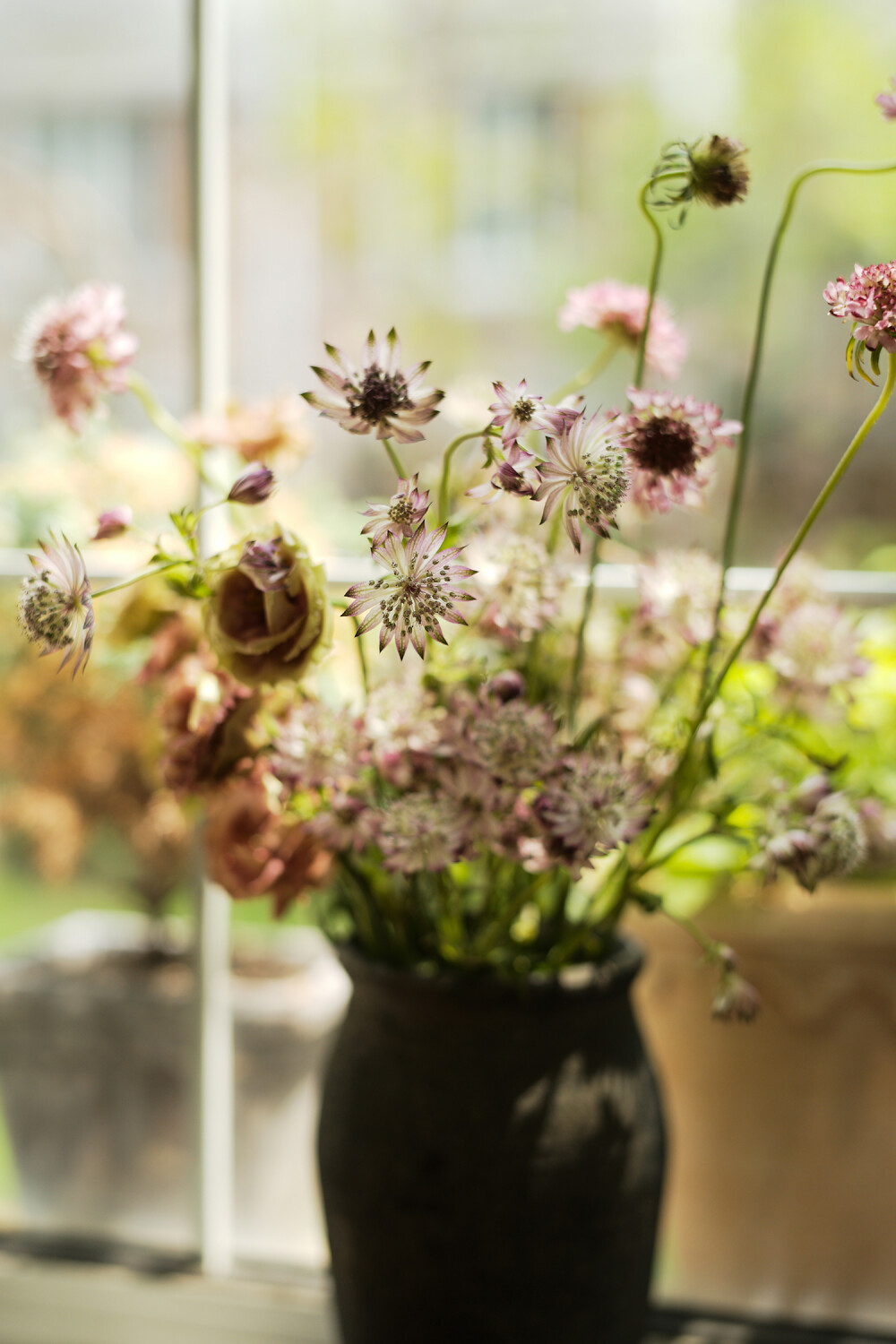 如何度过一天，就如何度过一生