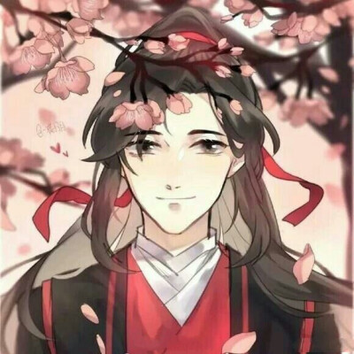 魔道祖师夷陵老祖魏无羡魏婴蓝忘机蓝湛含光君忘羡