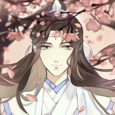 魔道祖师夷陵老祖魏无羡魏婴蓝忘机蓝湛含光君忘羡