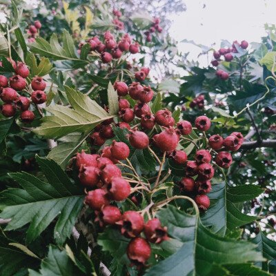 写生基地