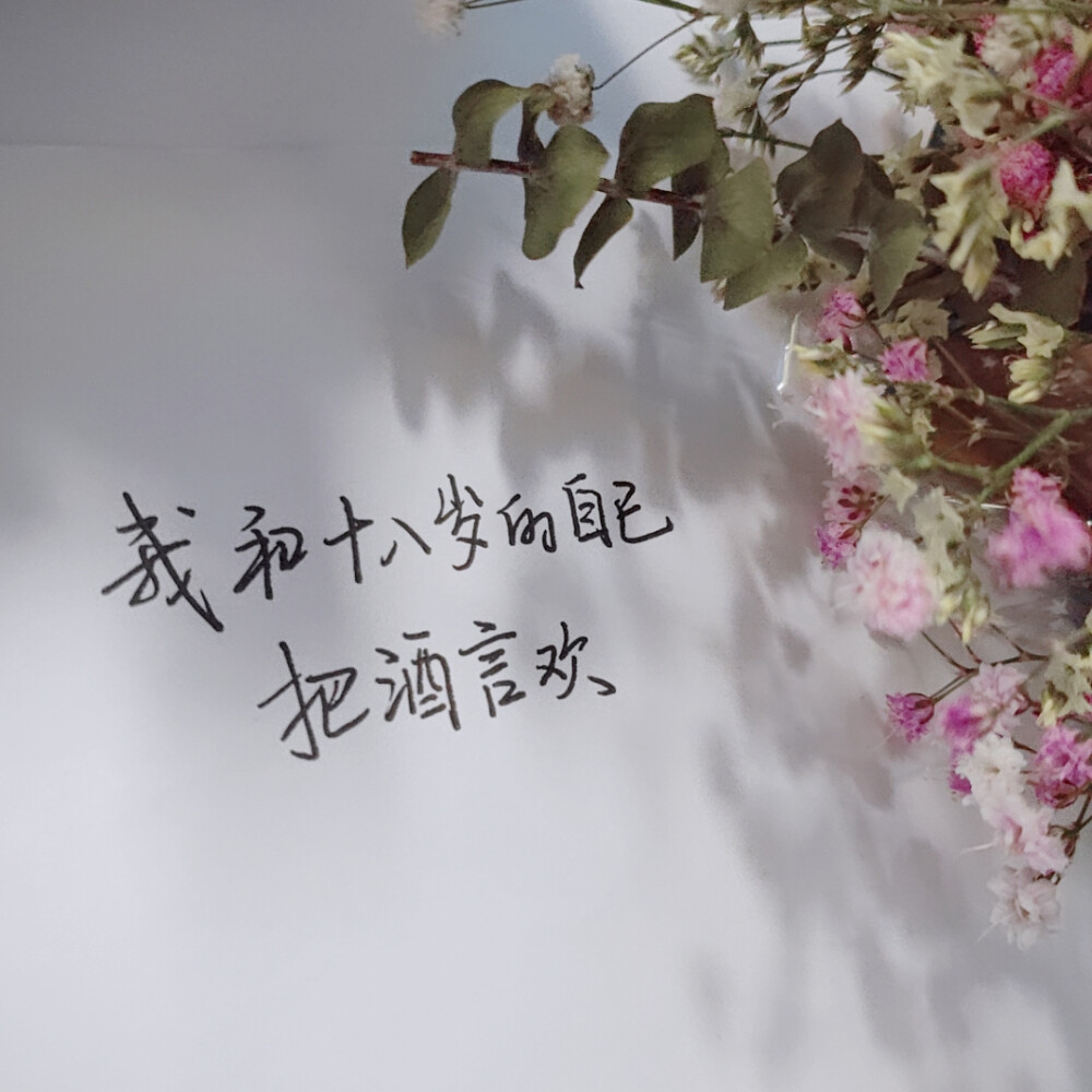 文字，滤镜，头像，壁纸，花花，小清新，文艺