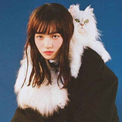 猫 ❤️ 小松菜奈