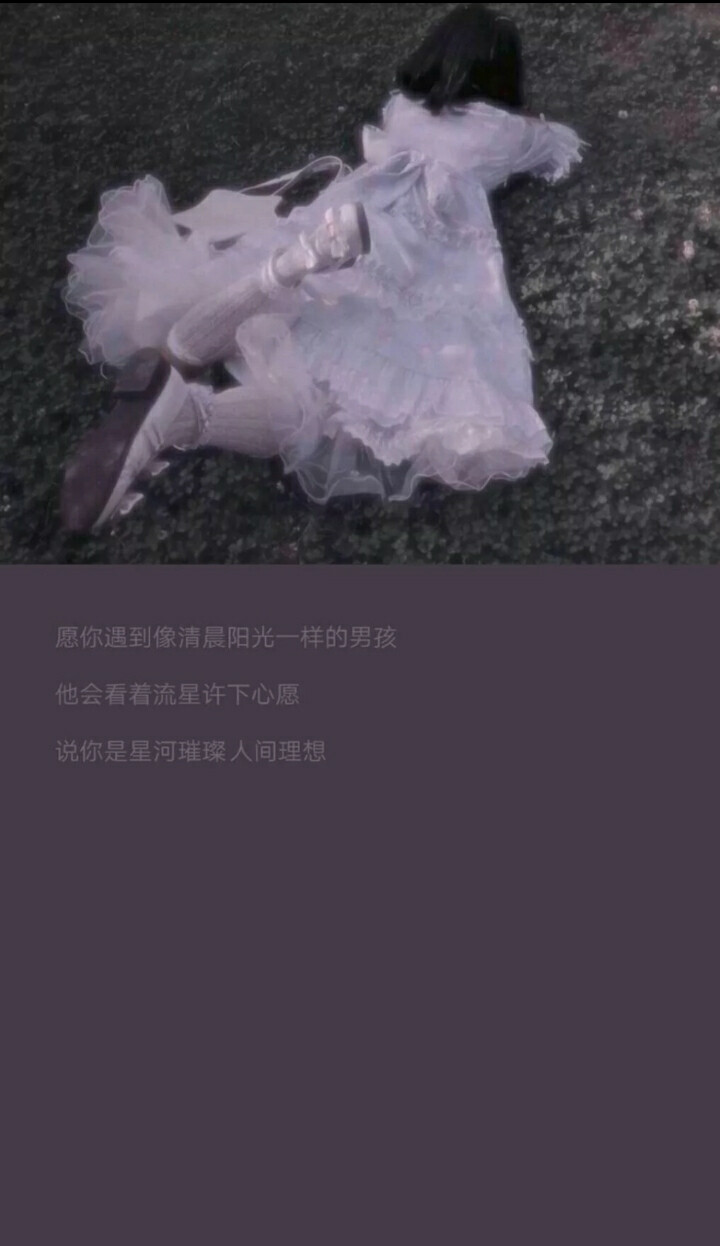 白茶清欢无别事，我在等风也等你.