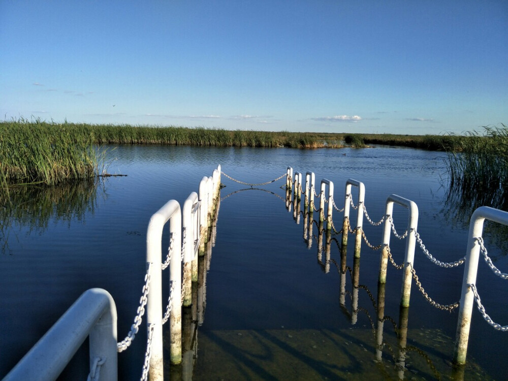 湿地公园