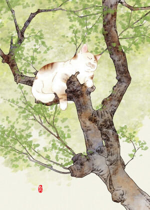 〔 猫咪素材 〕作者' 怨气满满のA飘