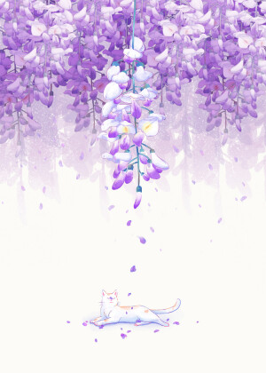 〔 猫咪素材 〕作者' 怨气满满のA飘