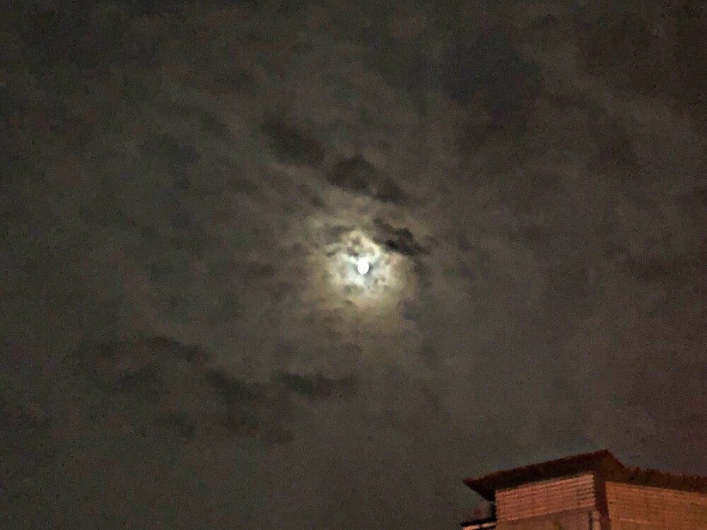 可爱的小赵同学