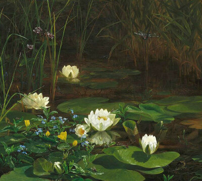 Forest Lake with Blooming Water Lilies and Insects Anthonore Christensen