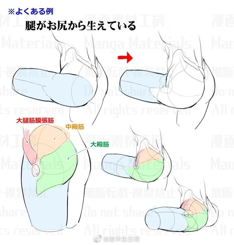 绘画胯部纯干货