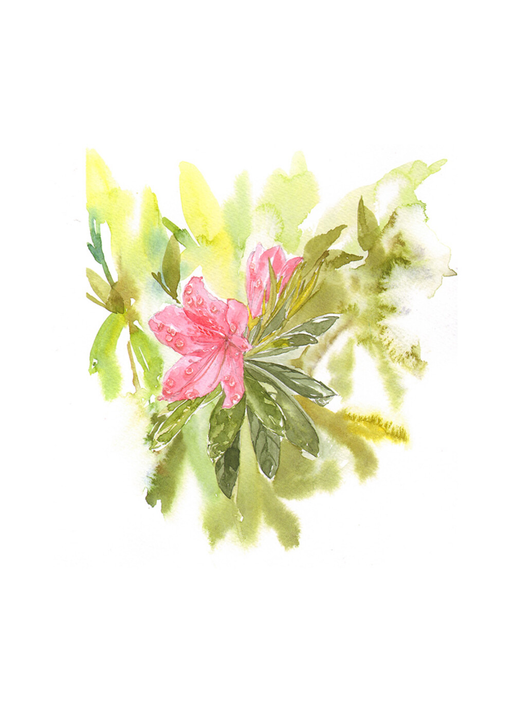 花草手绘 侵删