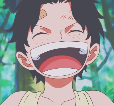 《海贼王》
路 飞 与 艾 斯