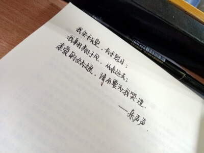 我生于长空，长于烈日；
我翱翔于风，从未远去；
亲爱的姑娘，请不要为我哭泣。
——宋声声