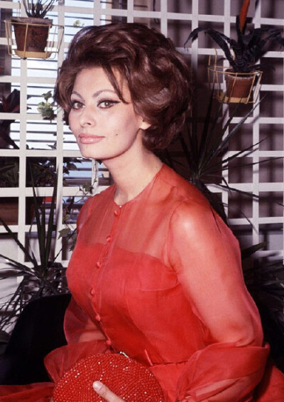  Sophia·Loren