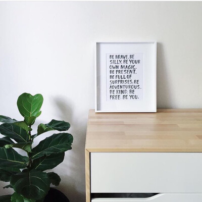 家要有绿植才能完整啊