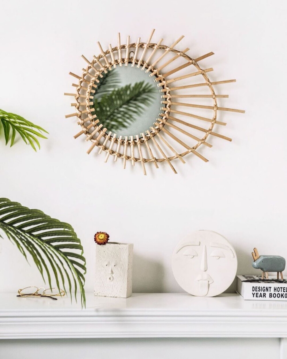 家要有绿植才能完整啊