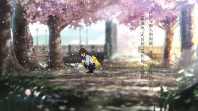 我想吃掉你的胰脏