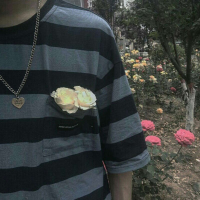 人生的路上 你种什么因 便得什么果