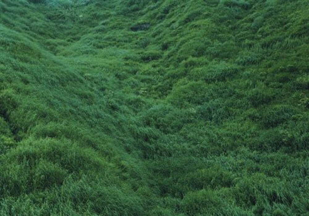 By 春水转枯的封面。