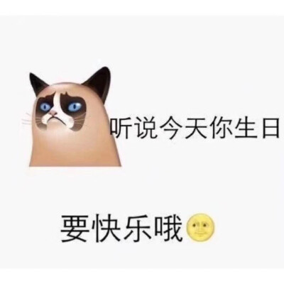 生日快乐 表情包