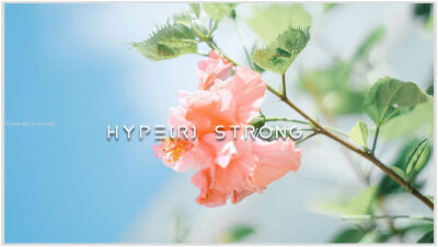 HYPE(R) Strong Modern Font。几何。清洁。新潮。现代主要应用与标题，标志设计。数字简单易读。 HYPE(R)-Light.otf。 HYPE(R)-Strong.otf 包括基本字形。仅限大写。期待看到你通过字体创造伟大的东西。