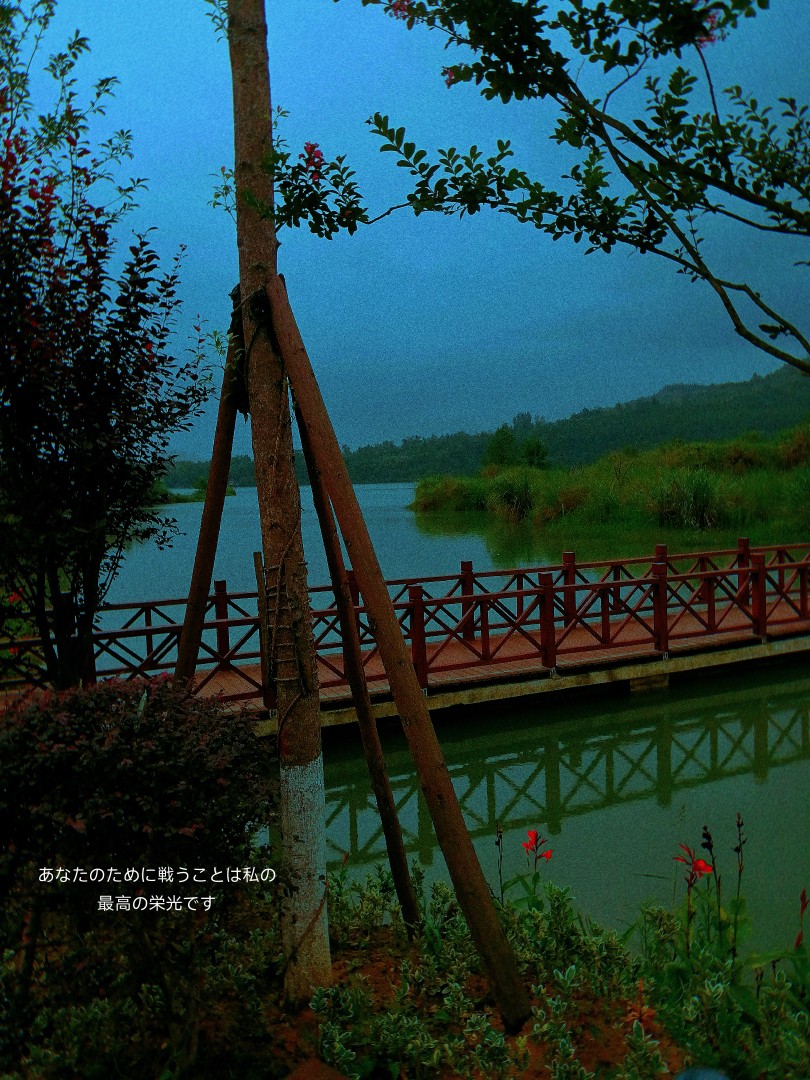 湿地公园