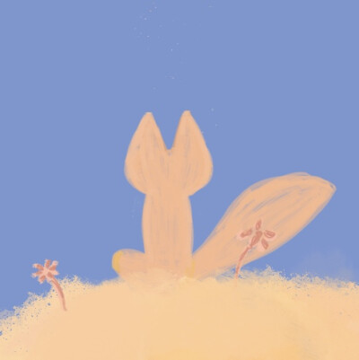 小王子

