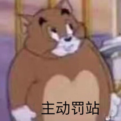 宝情标