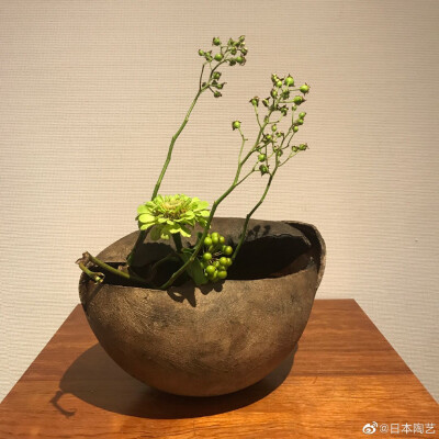 たち花
西川老师展览
时间：7/6 号结束
地址：東京都大田区田園調布2-42-18 2F
这次展览真的很不错哦，很多新的作品。展览作品类型也比较丰富。欢迎大家来欣赏。 ​​​