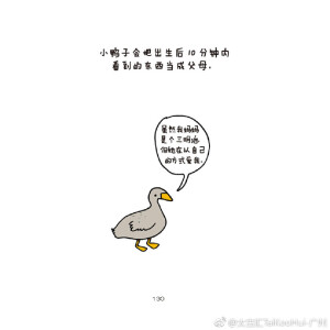 人人都知道猪粉嫩可爱，却不知它们无法看见天空；知道斑马安静帅气，但是他们不敢自己睡觉。章鱼没有朋友、水母没有心脏、海鬼没有见过自己的父母……这些动物小秘密你又是否知道？由Brooke Barker创作的插画《是我把你弄哭了吗？》带来一个个鲜为人知的冷知识，鼓励读者探索动物的复杂性~[MU层35铺] ​​​​