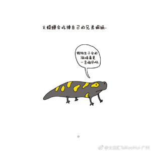 人人都知道猪粉嫩可爱，却不知它们无法看见天空；知道斑马安静帅气，但是他们不敢自己睡觉。章鱼没有朋友、水母没有心脏、海鬼没有见过自己的父母……这些动物小秘密你又是否知道？由Brooke Barker创作的插画《是我把你弄哭了吗？》带来一个个鲜为人知的冷知识，鼓励读者探索动物的复杂性~[MU层35铺] ​​​​