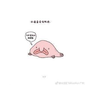 人人都知道猪粉嫩可爱，却不知它们无法看见天空；知道斑马安静帅气，但是他们不敢自己睡觉。章鱼没有朋友、水母没有心脏、海鬼没有见过自己的父母……这些动物小秘密你又是否知道？由Brooke Barker创作的插画《是我把你弄哭了吗？》带来一个个鲜为人知的冷知识，鼓励读者探索动物的复杂性~[MU层35铺] ​​​​