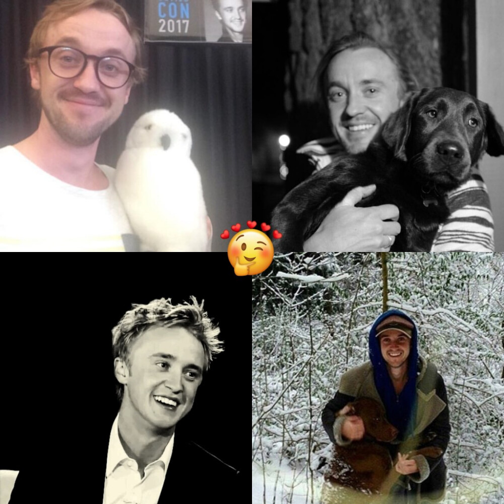 TomFelton 汤姆费尔顿#禁二传二改#侵删微博 WittyKittyO3O持续发图❤️