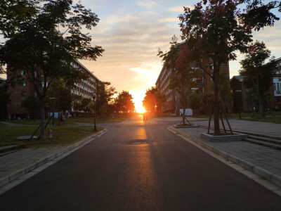 今天下午 学校的夕阳
觉得 很奇怪
有一些能力 哪怕是第一次发现的
不知道为什么 就是能够确定自己是拥有它的
无论怎样的情境下都能做到的能力
比如开扇子 比如刻章
有一些能力 哪怕已经练习过无数次了
总是…