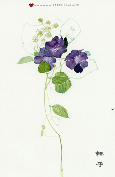 用这些花换你今天的愉快吧！
小熊猫课堂古风花卉班——桃子同学作品一览