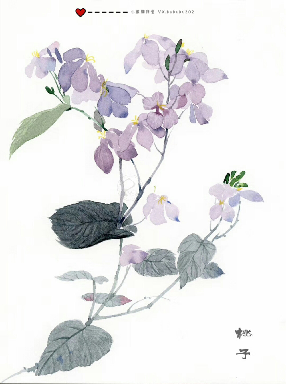 用这些花换你今天的愉快吧！
小熊猫课堂古风花卉班——桃子同学作品一览