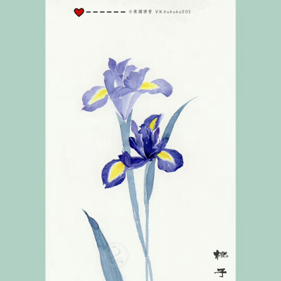 用这些花换你今天的愉快吧！
小熊猫课堂古风花卉班——桃子同学作品一览