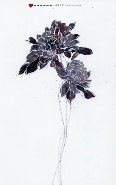 用这些花换你今天的愉快吧！
小熊猫课堂古风花卉班——桃子同学作品一览