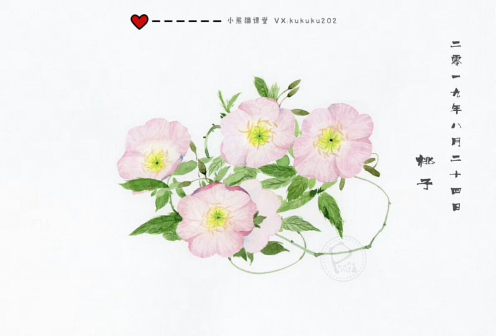 用这些花换你今天的愉快吧！
小熊猫课堂古风花卉班——桃子同学作品一览