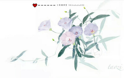 用这些花换你今天的愉快吧！
小熊猫课堂古风花卉班——桃子同学作品一览