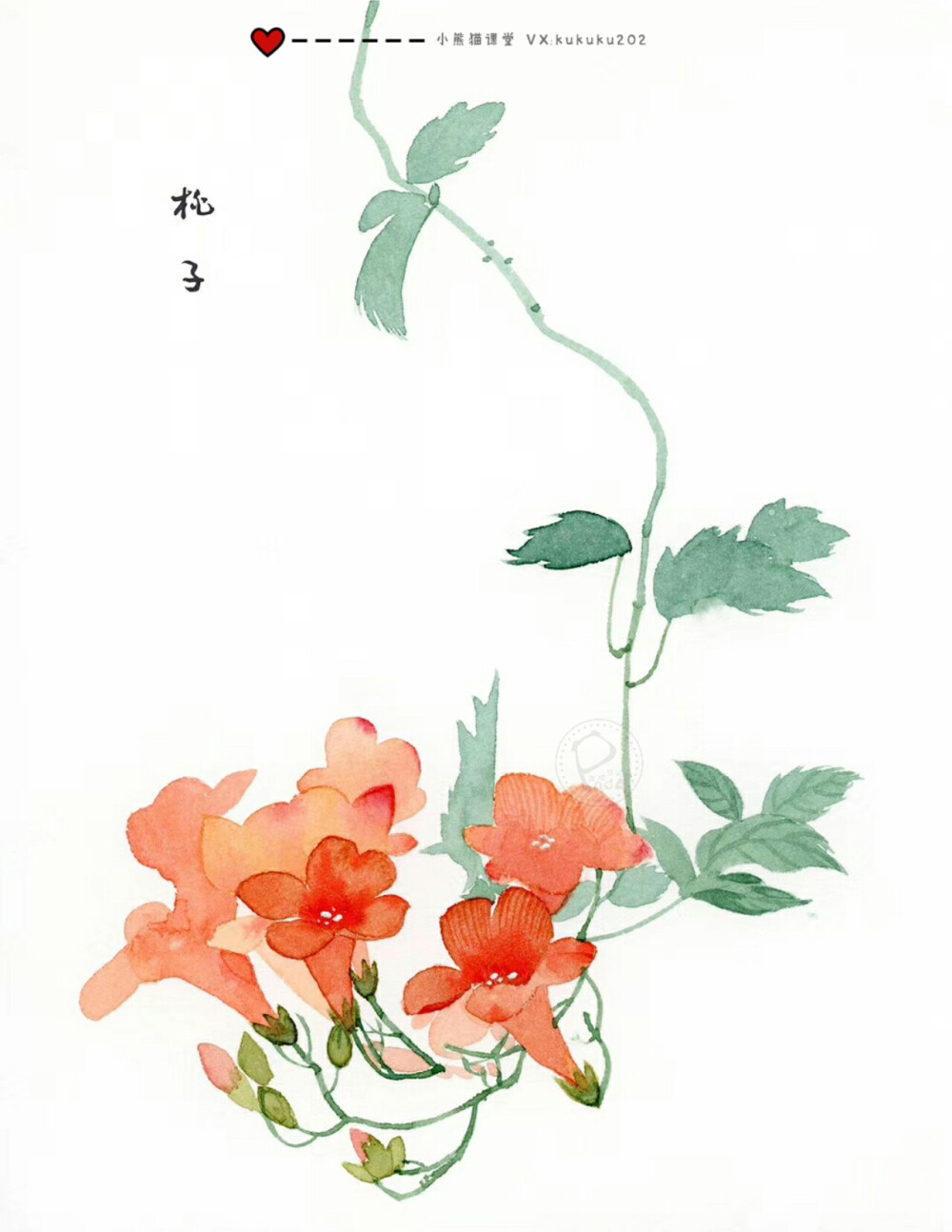 用这些花换你今天的愉快吧！
小熊猫课堂古风花卉班——桃子同学作品一览