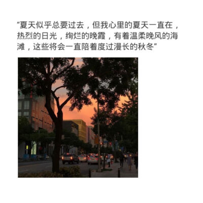 “我在贩卖日落
你像神明一样慷慨地将光洒向我
从此人间被点亮
后来才发现那是我眼睛里的光
可那又如何 我爱慕的是你
而非你发着光的模样。”